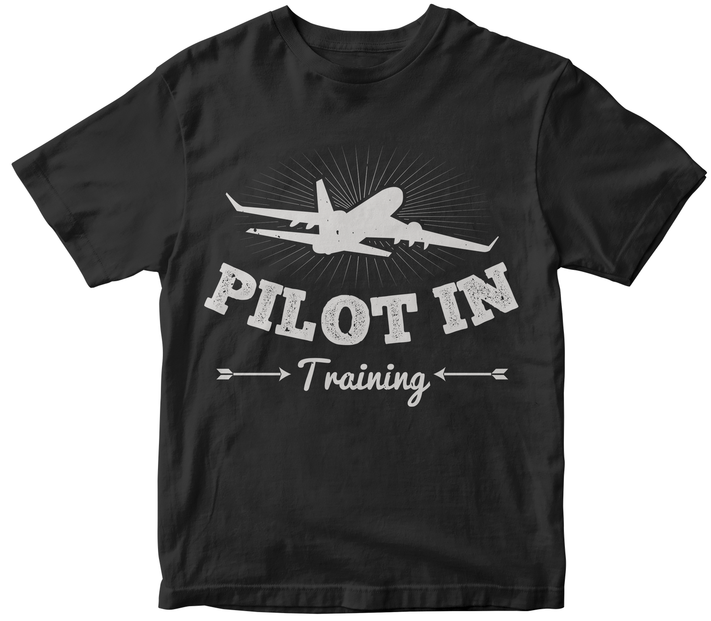 Pilot In Training