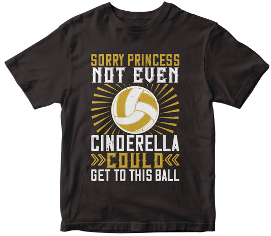 SORRY PRINCESS NOT EVEN CINDERELLA COULD GET TO THIS BALL