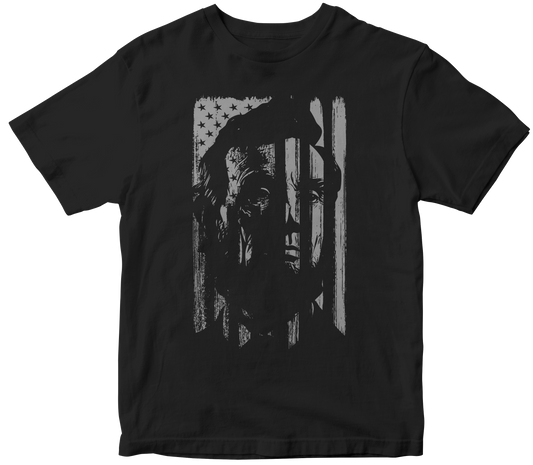 abraham lincoln with distressed flag effect